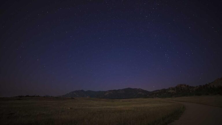 How Do I Submit A 99Exch Refund Claim If Funds Are Missing?